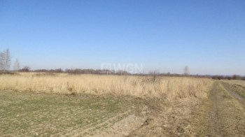 Grunt rolny na sprzedaż Koziegłowy