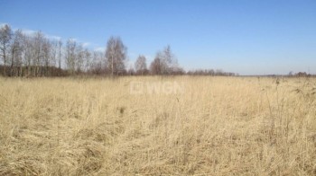 Grunt rolny na sprzedaż Koziegłowy